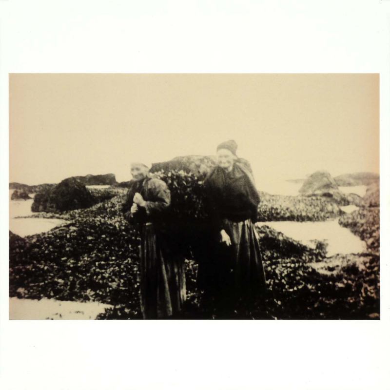 Image 13