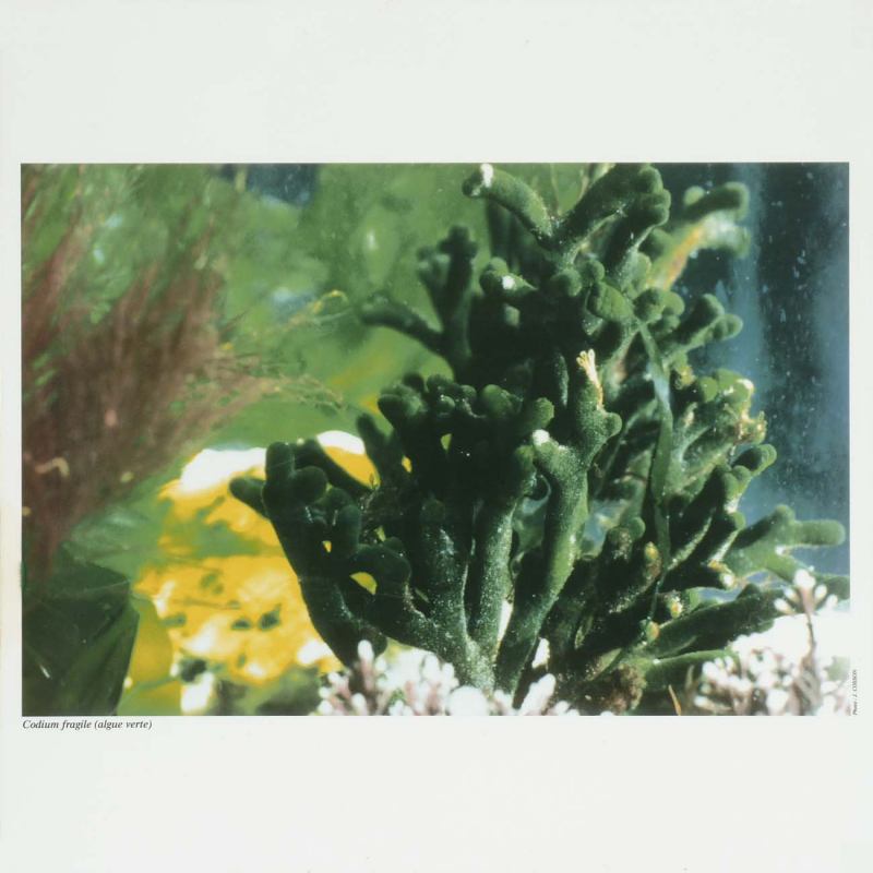 Image 16