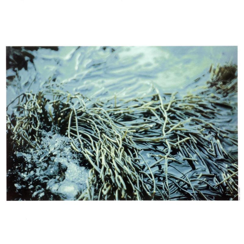 Image 21
